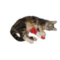 Petpurifiers 612 Bobber Catnip Toy with Organic Catnip PE321236